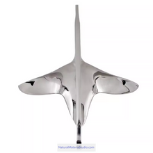 Cargar imagen en el visor de la galería, Premium Varied CQR Anchor & Bruce Anchor 316 Stainless Steel (1.0–40 kg for yachts ≤15 m Customizable)-NaturalMateriaStudio-NaturalMateriaStudio