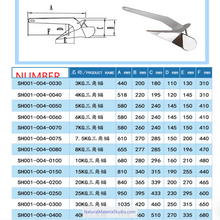 Cargar imagen en el visor de la galería, Premium Anchors 316 Stainless Steel Delta Style & Roll-Bar Plow – Customizable Safe Holding for Yachts & Boats-NaturalMateriaStudio-NaturalMateriaStudio