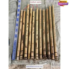 画像をギャラリービューアに読み込む, Selected Spotted Madake Bamboo Poles (L29.5"-39.4"/75-100cm) ID 1.6-2.5cm with Root Ball for Shakuhachi flute Making-NaturalMateriaStudio-NaturalMateriaStudio