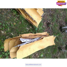 이미지를 갤러리 뷰어에 로드 , Birch Bark Sheets (11.8"X15.7" and 11.8"X19.6") for Crafting and Home Decor