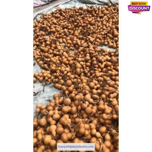 Cargar imagen en el visor de la galería, Double Bulbous Small Bottle Gourds 1.97-2.56 inch/5.0-6.5cm mixed High dry & clean-NaturalMateriaStudio-NaturalMateriaStudio
