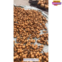 Load image into Gallery viewer, Double Bulbous Small Bottle Gourds 1.97-2.56 inch/5.0-6.5cm mixed High dry & clean-NaturalMateriaStudio-NaturalMateriaStudio