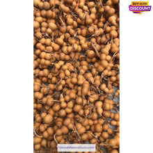 Carica l'immagine nel visualizzatore di Gallery, Double Bulbous Small Bottle Gourds 1.97-2.56 inch/5.0-6.5cm mixed High dry & clean
