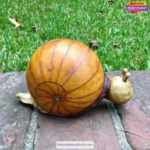 Charger l'image dans la galerie, Double Bulbous Small Bottle Gourds 1.97-2.56 inch/5.0-6.5cm mixed High dry & clean-NaturalMateriaStudio-NaturalMateriaStudio