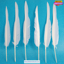 이미지를 갤러리 뷰어에 로드 , L/R/W 30-35 cm White and other colors goose primary feathers for arrow fletching or feather pen/fan Wholesale Amounts