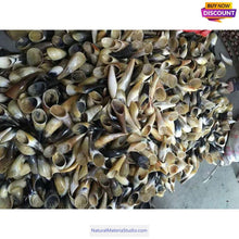 Load image into Gallery viewer, Natural Tibetan Yak Horn Tips L (14cm/5.5 Inches) for artisans/massage services,