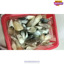 Load image into Gallery viewer, Natural Tibetan Yak Horn Tips L (14cm/5.5 Inches) for artisans/massage services,