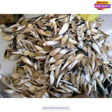 Load image into Gallery viewer, Natural Tibetan Yak Horn Tips L (14cm/5.5 Inches) for artisans/massage services,