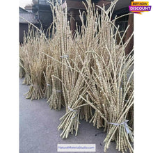 Lade das Bild in den Galerie-Viewer, Rare & Precious Length Bamboo Root Sticks (120cm / 47.2") for Varied Handicrafts