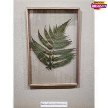 画像をギャラリービューアに読み込む, Rare Premium (W1.5-5.0cm) Bamboo Slats/Strips (L160-200cm) for bow&handicraft making