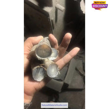 Carica l'immagine nel visualizzatore di Gallery, Raw Unpolished Tibet Yak L5.0-22cm Dia.1.8-3.5cm White&Colorful Solid Horn Tips for Crafting