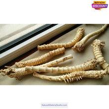 Lade das Bild in den Galerie-Viewer, Selected Best Curve Narrow knuckles Bamboo root for pipemaker craftsman