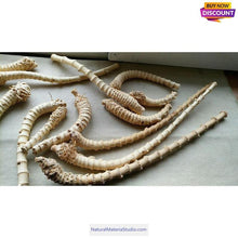 Lade das Bild in den Galerie-Viewer, Selected Best Curve Narrow knuckles Bamboo root for pipemaker craftsman-NaturalMateriaStudio-NaturalMateriaStudio