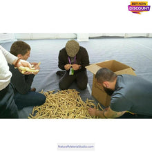 Carica l'immagine nel visualizzatore di Gallery, Selected L3"-6"(8-20cm)Dia.0.35"-0.5"(0.8-1.8cm) Professional Narrow Knuckles Bamboo for Pipe Makers-NaturalMateriaStudio-NaturalMateriaStudio