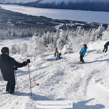 Cargar imagen en el visor de la galería, Selected Premium Hand-Straightened Dia.1.6–1.8 cm Length 125cm-145cm Tonkin Bamboo for DIY Ski Poles &Outdoor Gear Hiking/walking sticks-NaturalMateriaStudio-NaturalMateriaStudio