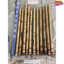 Ladda upp bild till gallerivisning, Selected Spotted Madake Bamboo Poles (L29.5"-39.4"/75-100cm) with Root Ball for Shakuhachi flute Making