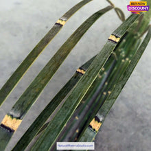 Lade das Bild in den Galerie-Viewer, Unique offer Length 2.0-6.0Meter thicker Handmade Green Bamboo Strips with bamboo skin for Versatile Crafting and Building&Kite and other handicraft making