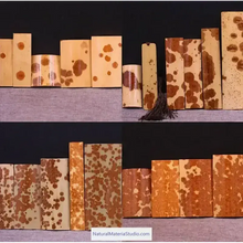 Charger l'image dans la galerie, Dia.4-5cm L35-40cm no joints spotted bamboo culm for bamboo fan layer and Customized-NaturalMateriaStudio-NaturalMateriaStudio