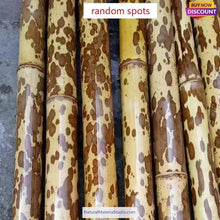 Charger l'image dans la galerie, Dia.4-5cm L35-40cm no joints spotted bamboo culm for bamboo fan layer and Customized-NaturalMateriaStudio-NaturalMateriaStudio