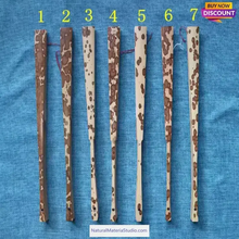 Load image into Gallery viewer, Dia.4-5cm L35-40cm no joints spotted bamboo culm for bamboo fan layer and Customized-NaturalMateriaStudio-NaturalMateriaStudio