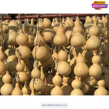 Carica l'immagine nel visualizzatore di Gallery, Double Bulbous Large Bottle Gourds 11.8"-19.7"(30-50CM) High dry & clean Wholesale amounts-NaturalMateriaStudio-NaturalMateriaStudio