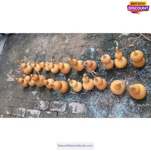 Ladda upp bild till gallerivisning, Double Bulbous Medium Bottle Gourds 5.9"-11.8"(15-30CM) High dry & clean Wholesale amounts-NaturalMateriaStudio-NaturalMateriaStudio