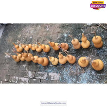 Load image into Gallery viewer, Double Bulbous Medium Bottle Gourds 5.9"-11.8"(15-30CM) High dry & clean Wholesale amounts-NaturalMateriaStudio-NaturalMateriaStudio