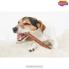 이미지를 갤러리 뷰어에 로드 , Dried Non-Processed Buffalo/Cow/Cattle Leg Sinews/Tendons (16"-23.6"/40-60cm)as horn bow uses or Dog chew-NaturalMateriaStudio-NaturalMateriaStudio