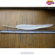 Cargar imagen en el visor de la galería, L/R/W 30-35 cm White and other colors goose primary feathers for arrow fletching or feather pen/fan Wholesale Amounts-NaturalMateriaStudio-NaturalMateriaStudio