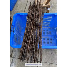 Görseli Galeri görüntüleyiciye yükleyin, New & Rare Black Bamboo Root Sticks Length 80cm(31.5")Dia.0.9-1.3cm(0.35"-0.5") Unique Supply-NaturalMateriaStudio-NaturalMateriaStudio