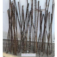 Load image into Gallery viewer, New & Rare Black Bamboo Root Sticks Length 80cm(31.5")Dia.0.9-1.3cm(0.35"-0.5") Unique Supply-NaturalMateriaStudio-NaturalMateriaStudio