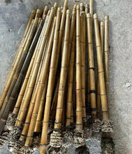 Lade das Bild in den Galerie-Viewer, Premium hand-straightened L29"-39"(75-100 cm)ID(1.2-2.5cm)Madake Bamboo with Root Ball for Shakuhachi and Flute Making NaturalMateriaStudio