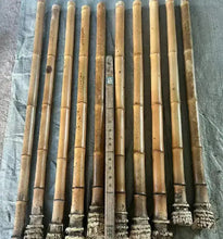 Lade das Bild in den Galerie-Viewer, Premium hand-straightened L29"-39"(75-100 cm)ID(1.6-2.5cm)Madake Bamboo with Root Ball for Shakuhachi and Flute Making NaturalMateriaStudio