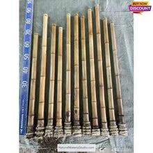 Lade das Bild in den Galerie-Viewer, Premium hand-straightened L29"-39"(75-100 cm)ID(1.6-2.5cm)Madake Bamboo with Root Ball for Shakuhachi and Flute Making-NaturalMateriaStudio-NaturalMateriaStudio