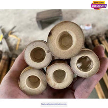 Cargar imagen en el visor de la galería, Premium hand-straightened L29"-39"(75-100 cm)ID(1.6-2.5cm)Madake Bamboo with Root Ball for Shakuhachi and Flute Making-NaturalMateriaStudio-NaturalMateriaStudio