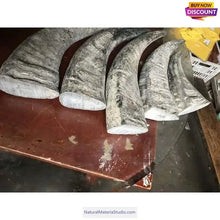 Cargar imagen en el visor de la galería, Premium Long (10cm/3.94")Varied Dia.Water Black Buffalo Horn Rolls for Knife and Pipe Makers-NaturalMateriaStudio-NaturalMateriaStudio