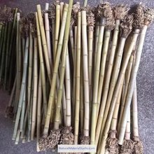 Lade das Bild in den Galerie-Viewer, Selected Premium Madake Bamboo Poles (L29.5"-39.4"/75-100cm) ID 1.6-3.7cm with Root Ball for Shakuhachi, Xiao, and Flute Making-NaturalMateriaStudio-NaturalMateriaStudio