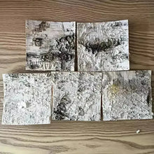 تحميل الصورة إلى عارض المعرض، Natural Birch Bark Sheets – Multiple Sizes Available – Eco-Friendly, Sustainably Harvested Rustic Craft Material for DIY, Decor & Packaging NaturalMateriaStudio