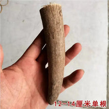 Load image into Gallery viewer, Raw Unpolished Tibet Yak L9.0-25cm Dia.1.8-3.5cm White&Colorful Solid Horn Tips for Crafting NaturalMateriaStudio