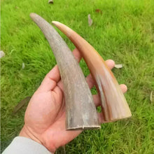 Load image into Gallery viewer, Raw Unpolished Tibet Yak L12.0-27cm Dia.2.0-5.0cm White&Colorful Solid Horn Tips for Crafting NaturalMateriaStudio