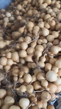 Carica e avvia il video nel visualizzatore di galleria, Doppio Bottiglia Piccoli Zucche 1.97-2.56 pollici/5.0-6.5cm miste Alte asciutte e pulite