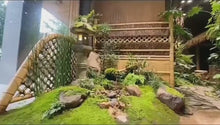 Laden und Abspielen von Videos im Galerie-Viewer, Moderne, verschiedene Stile und Größen (B180cmXH120cm) Japanische Bambustür/Garteneingang anpassbar