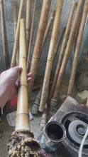 Carica e avvia il video nel visualizzatore di galleria, Bambù Madake Premium dritto a mano L29"-39"(75-100 cm) con zolla per la fabbricazione di shakuhachi e flauti