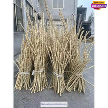 Charger l'image dans la galerie, Rare & Precious Bamboo Root Sticks L(60-100cm / 23.6-39.4") for Diverse Handicrafts-NaturalMateriaStudio-NaturalMateriaStudio