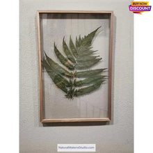 画像をギャラリービューアに読み込む, Rare Premium (W1.5-5.0cm) Bamboo Slats/Strips (L160-200cm) for bow&handicraft making-NaturalMateriaStudio-NaturalMateriaStudio