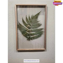 Cargar imagen en el visor de la galería, Rare Premium (W1.5-5.0cm) Bamboo Slats/Strips (L160-200cm) for bow&handicraft making-NaturalMateriaStudio-NaturalMateriaStudio