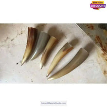 Load image into Gallery viewer, Raw Unpolished Tibet Yak L5.0-22cm Dia.1.8-3.5cm White&Colorful Solid Horn Tips for Crafting-NaturalMateriaStudio-NaturalMateriaStudio