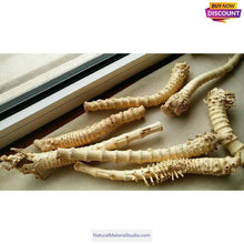Load image into Gallery viewer, Selected Best Curve Narrow knuckles Bamboo root for pipemaker craftsman-NaturalMateriaStudio-NaturalMateriaStudio