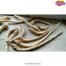 画像をギャラリービューアに読み込む, Selected Best Curve Narrow knuckles Bamboo root for pipemaker craftsman-NaturalMateriaStudio-NaturalMateriaStudio