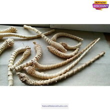 Cargar imagen en el visor de la galería, Selected Best Curve Narrow knuckles Bamboo root for pipemaker craftsman-NaturalMateriaStudio-NaturalMateriaStudio